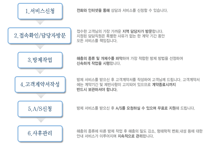 진행과정